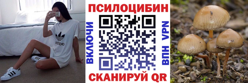 Псилоцибиновые грибы прущие грибы  Купить  Калтан 