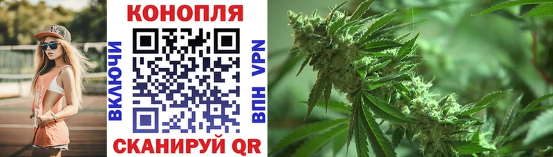 Купить  Калтан  Канабис план 